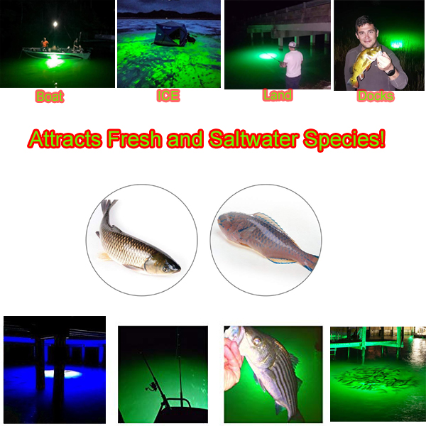 DC12V 20w 100w night boat under water lamp lure led underwater