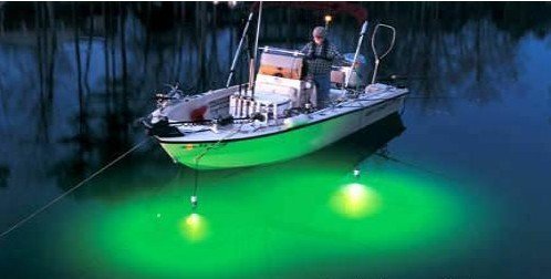 RGB Dimmable Fishing underwater Lure fish light entertainment fish