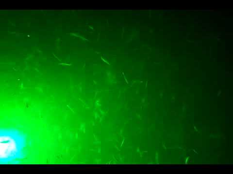LED Underwater fish attractor lightfishing light attractor green